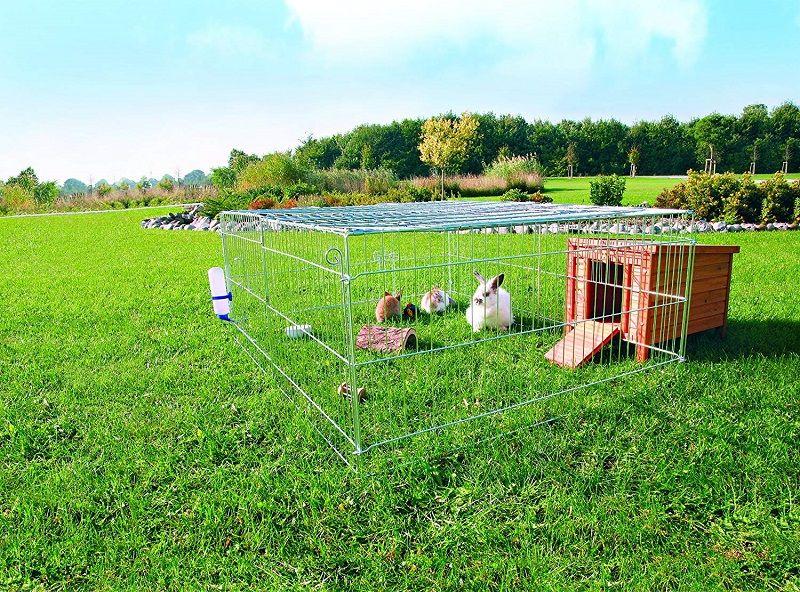 Los Mejores Parques Para Conejos