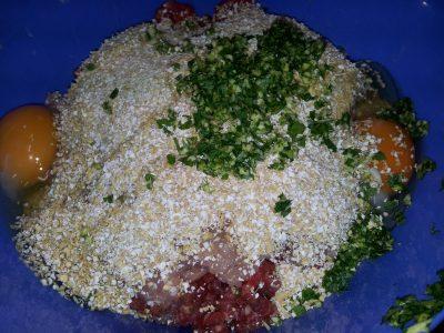 Albándigas caseras (6)