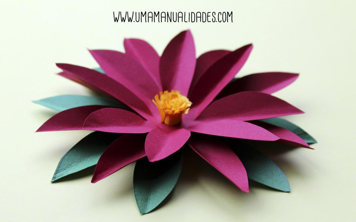 flor de papel de pascua paso a paso