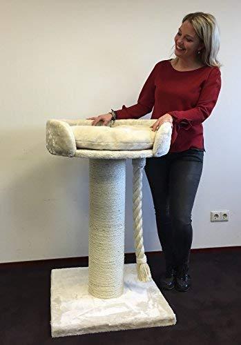 Mejores Rascadores Para Gatos Grandes