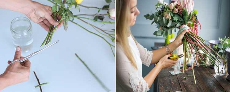 Cómo conservar flores cortadas