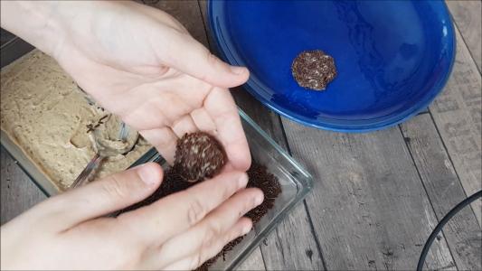 bombones de castaña 6