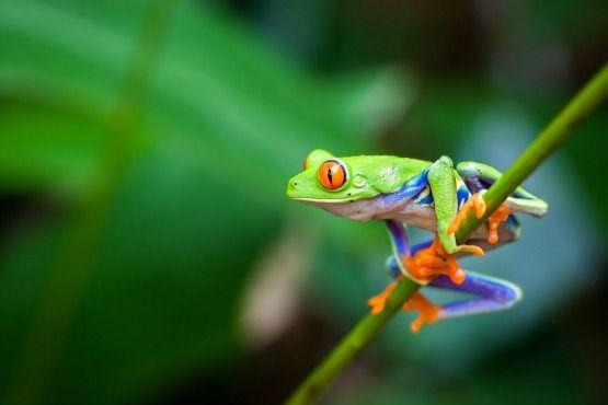 Los mejores lugares para visitar en costa rica que no te puedes perder