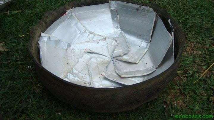 organoponía paso a paso