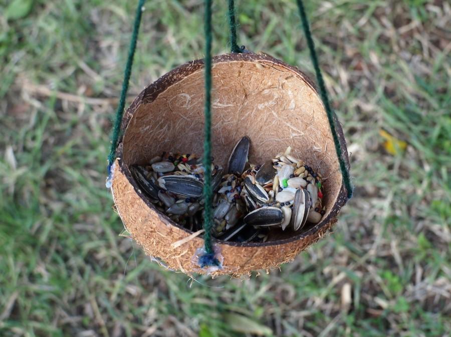 Comedro de aves hecho en cáscara de coco