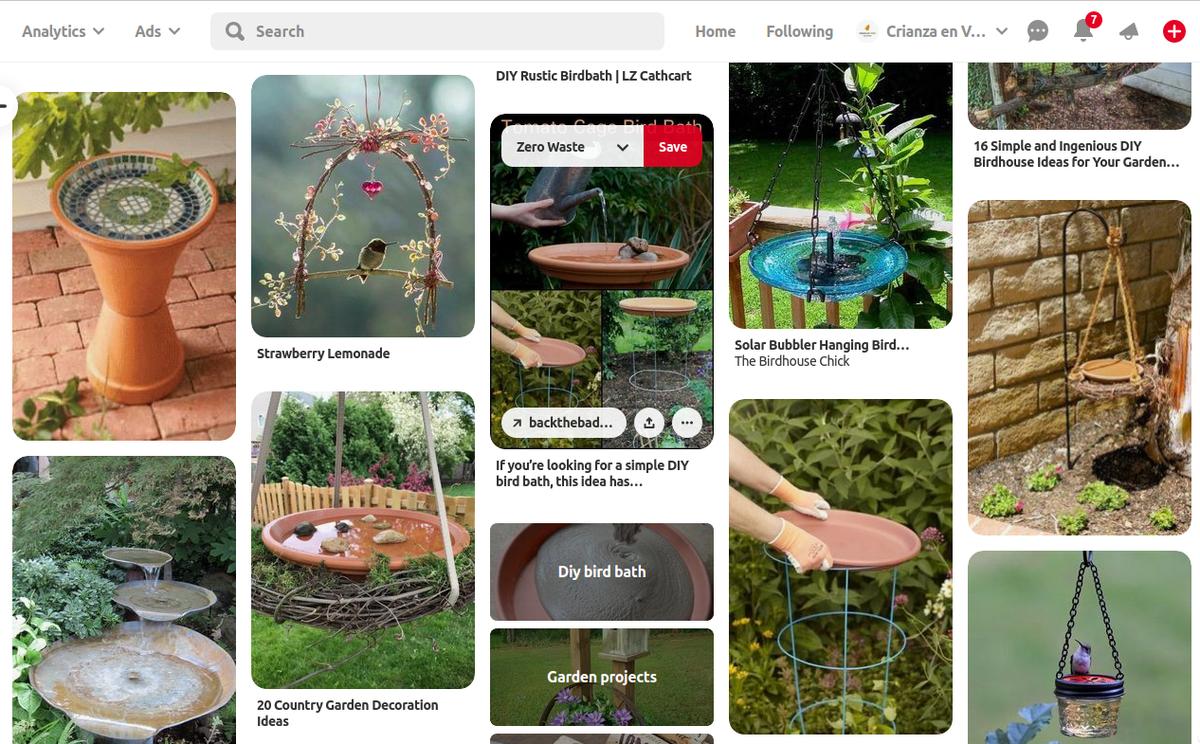 Foto de pinterest con vista general de baños de aves