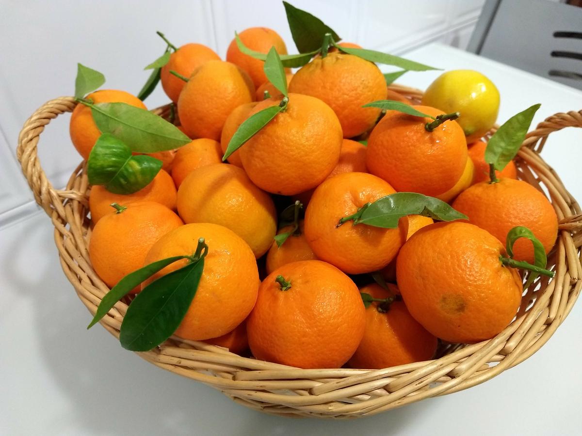 IMG_20191203_125552943