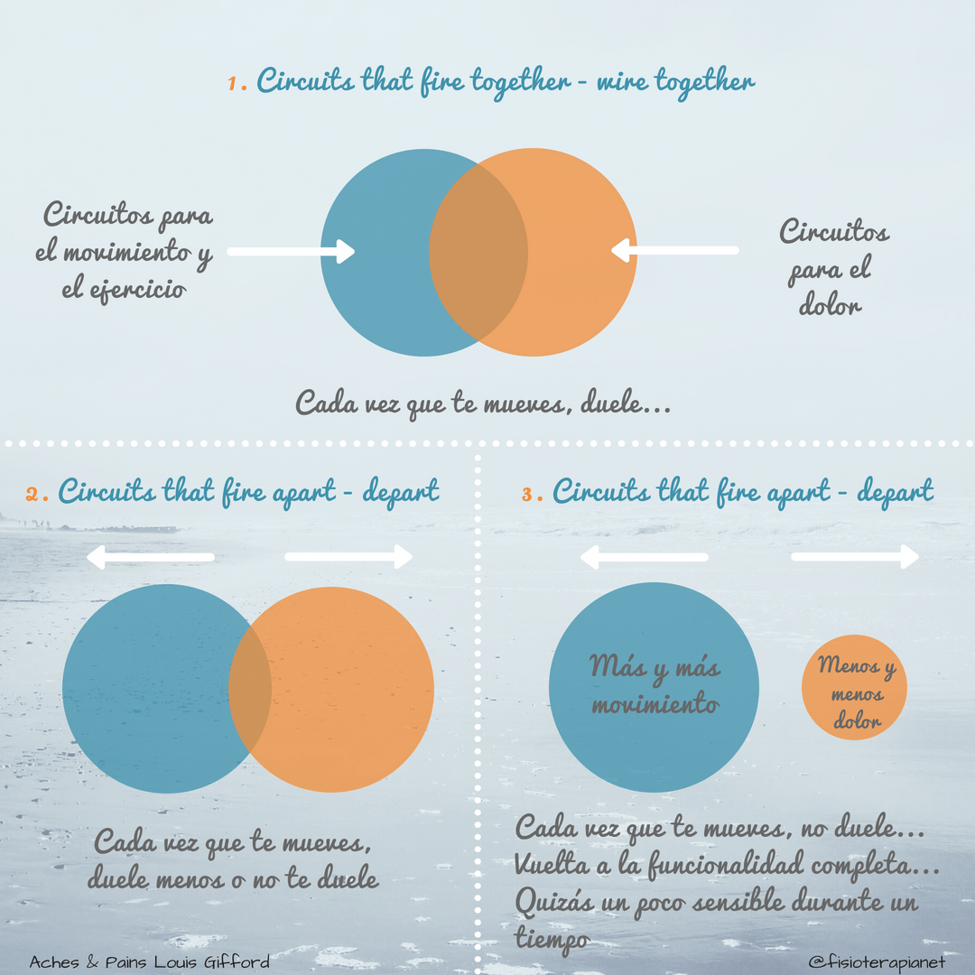 circuitos que se activan juntos se realcionan