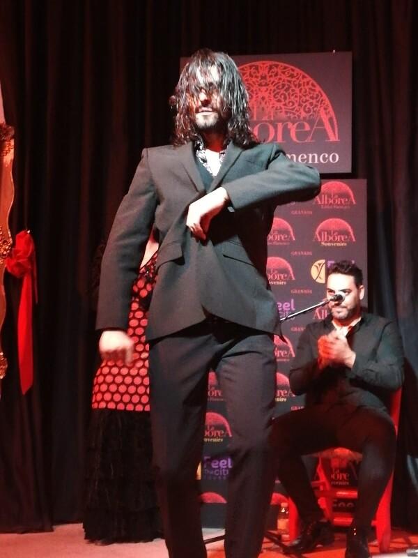 que ver en granada en un dia