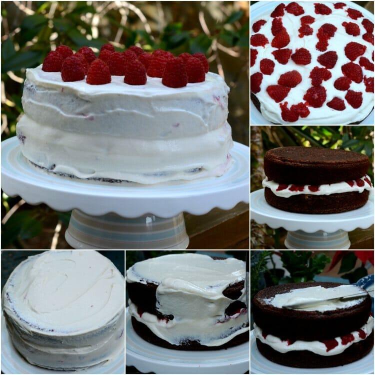 Collage Brown Velvet Con Frambuesas 01