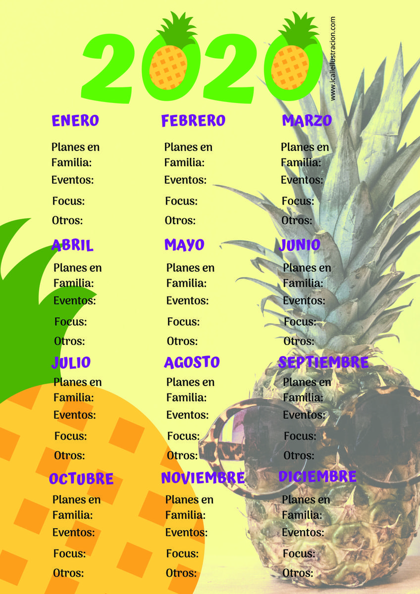 Piña Planificador Anual 2020 ICalle Ilustración