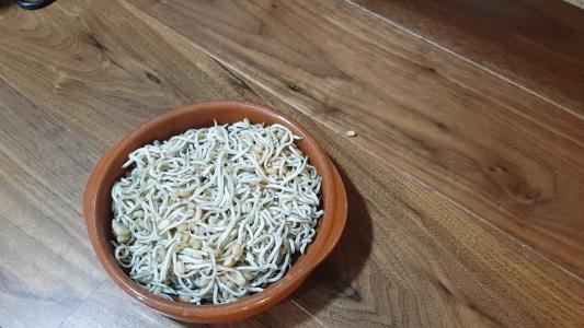 angulas sucedáneas 6