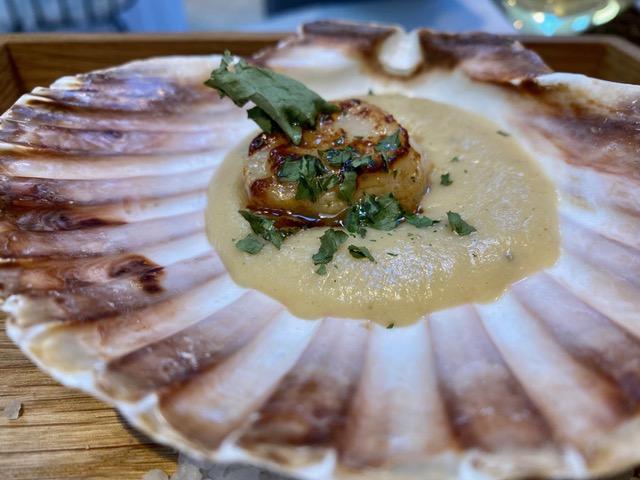 Una Atmósfera especial. OVILLO