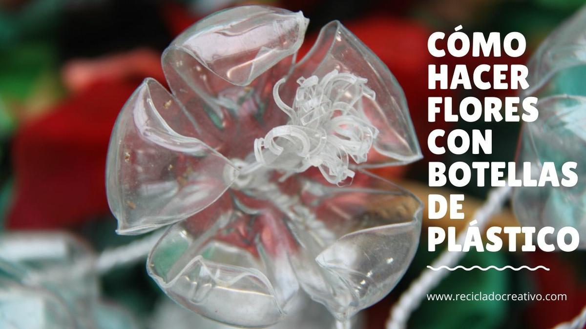 Flores con botellas de CocaCola DIY