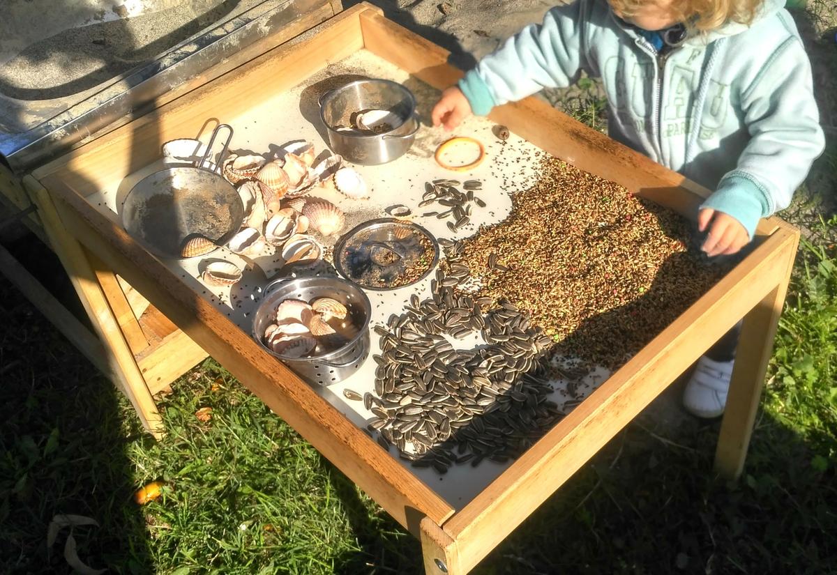 Niño jugando en mesa sensorial de alpiste, pipas y conchas