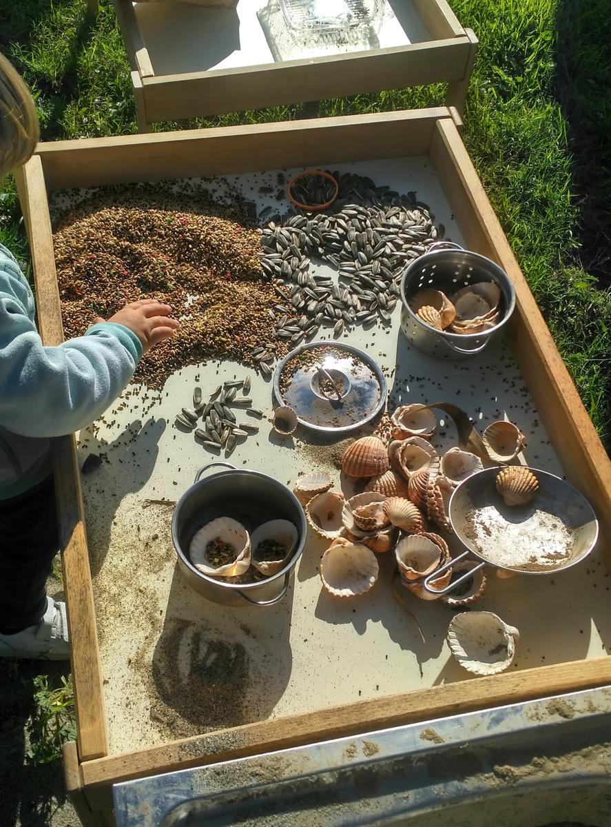 Niño jugando en mesa sensorial de alpiste, pipas y conchas en el grupo de juego del parque