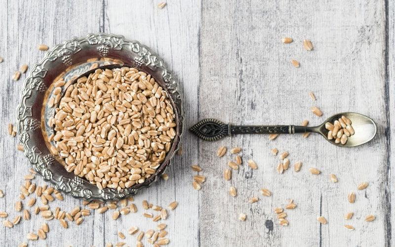 espelta de trigo recetas