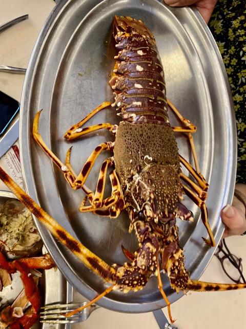 Solo sabe a Mar. Casa Adriano