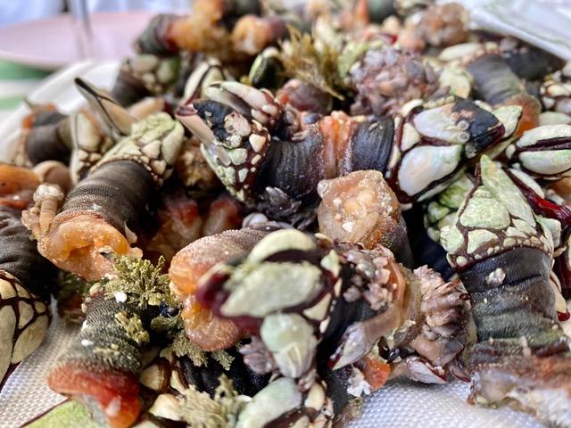 Solo sabe a Mar. Casa Adriano