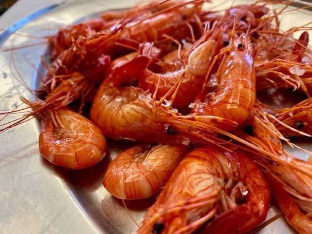 Solo sabe a Mar. Casa Adriano