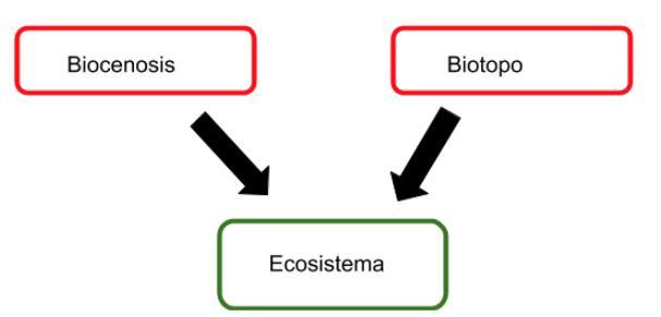 que es la biocenosis