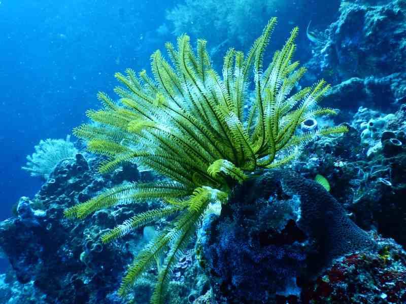 biotopo y biocenosis