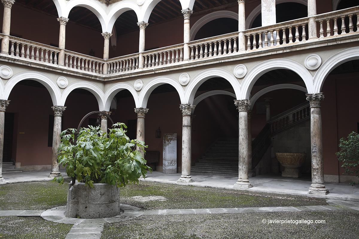 Patio del palacio de Fabio Nelli. Museo de Valladolid. Valladolid. Castilla y León. España © Javier Prieto Gallego