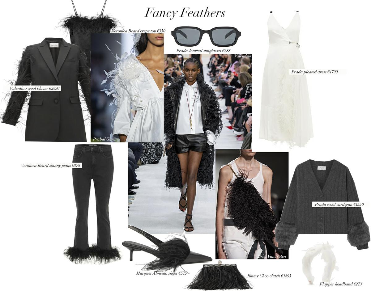 Trini | Fancy Feathers