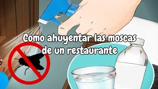 Cómo ahuyentar las moscas de un restaurante