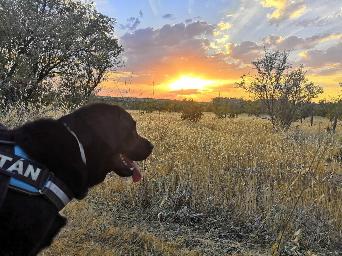 IMG-20200105-WA0005 (1)