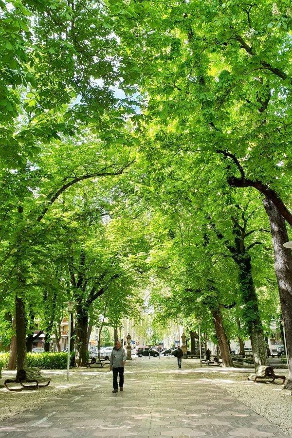 que hay que ver en vitoria gasteiz