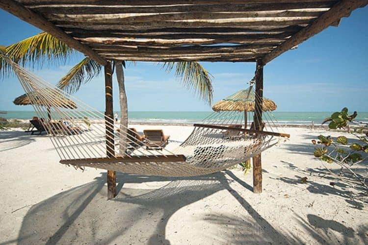 Hotel Zomay Pet Friendly