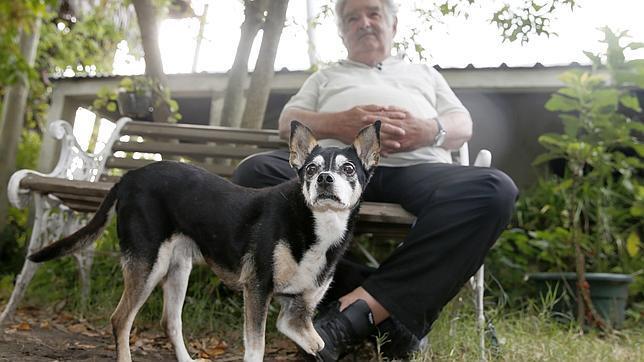 Perros Y Presidentes Una Moda Alrededor Del Mundo Mascotas