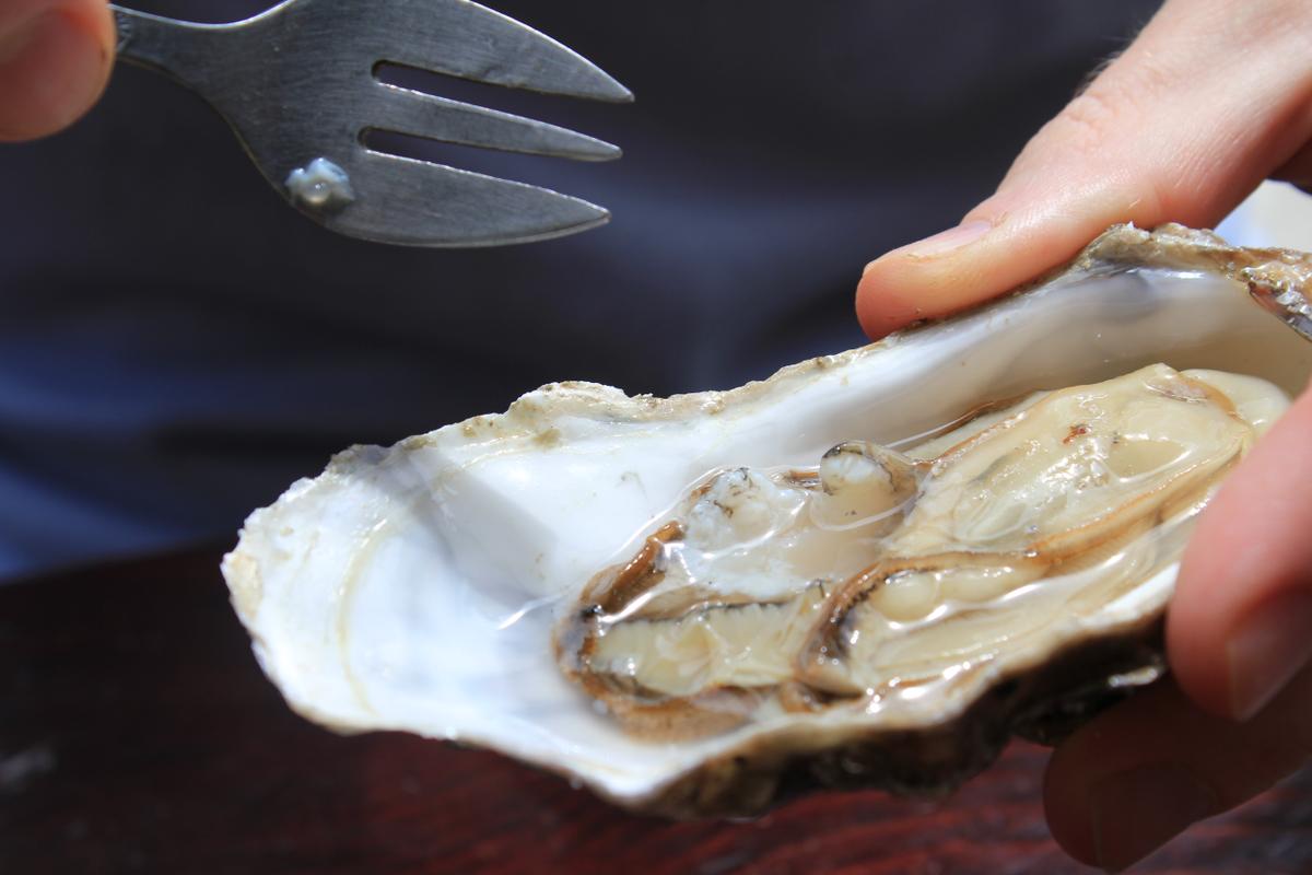 Resultat dimatges de eating oysters