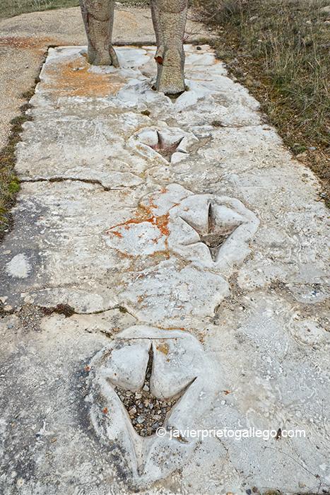 Réplica de huellas de dinosaurio Allosaurus. Yacimiento de Fuente Lacorte. Bretún. Ruta de las Icnitas. Soria. Castilla y León. España. © Javier Prieto Gallego