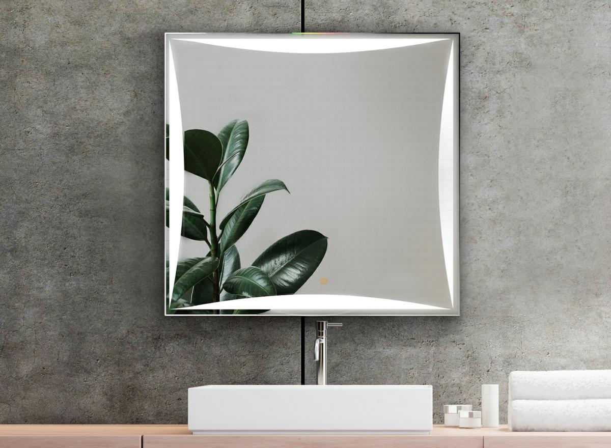 Espejo Lexus de Manillons Torrent 