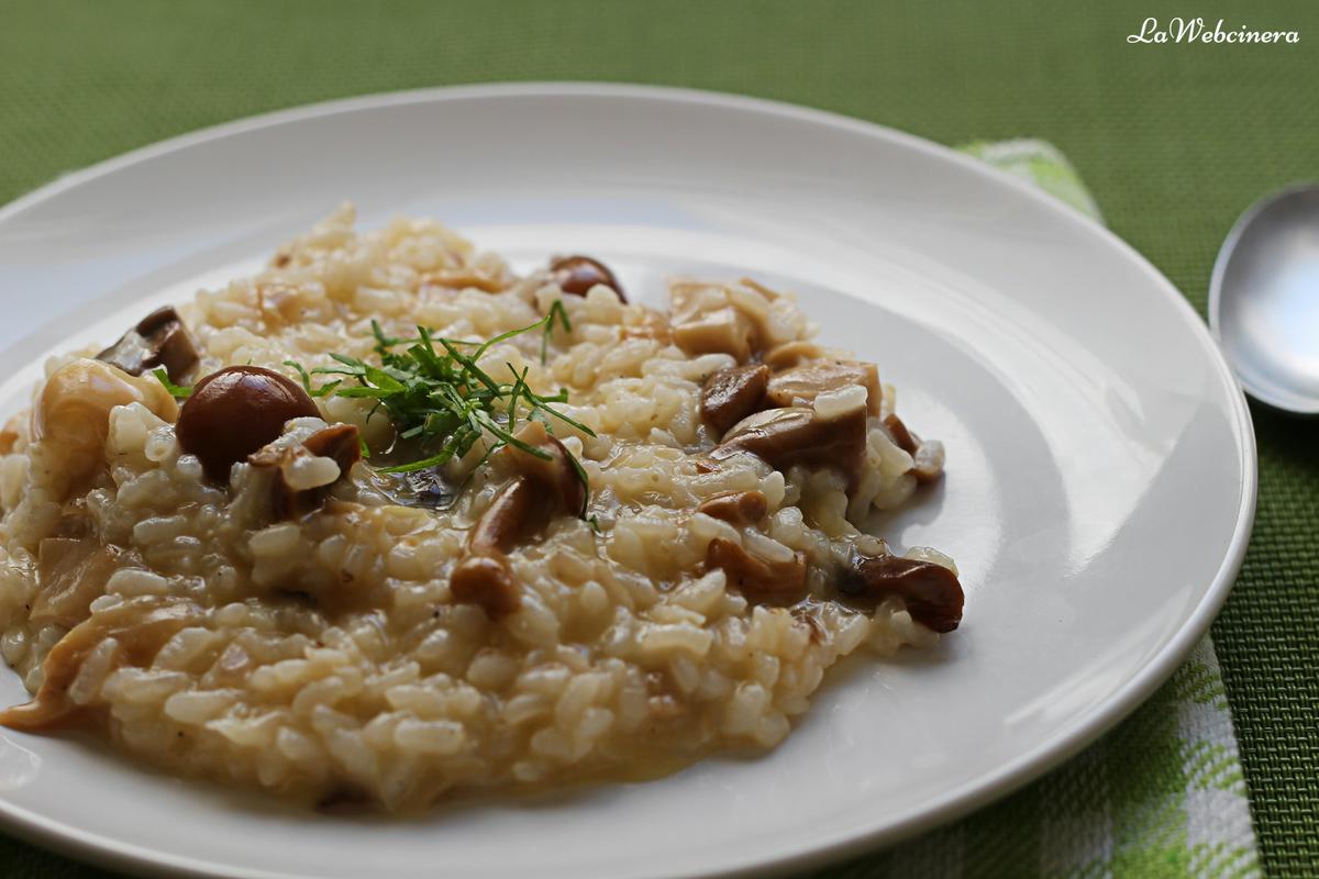 risotto