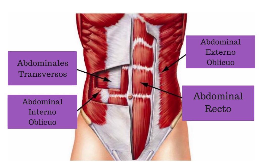 entrenamiento de abdominales