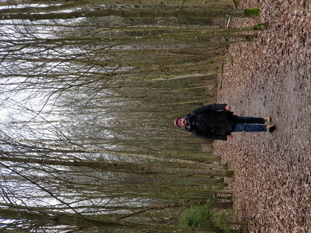 qué hacer en lituania