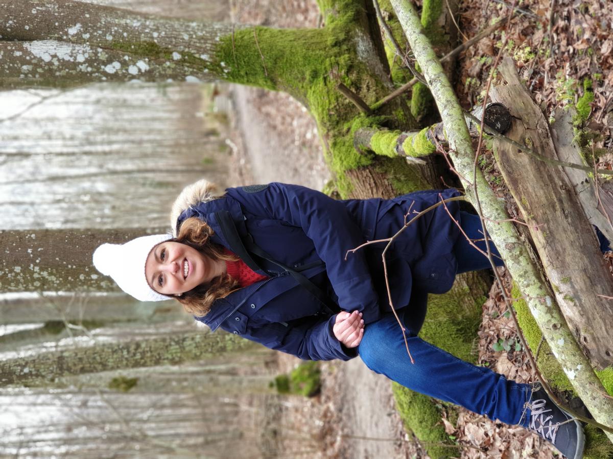 qué hacer en lituania