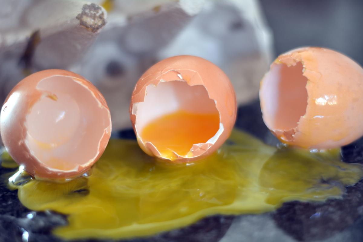 dish-food-produce-egg-macro-photography-yellow-yolk-475149-pxhere.com