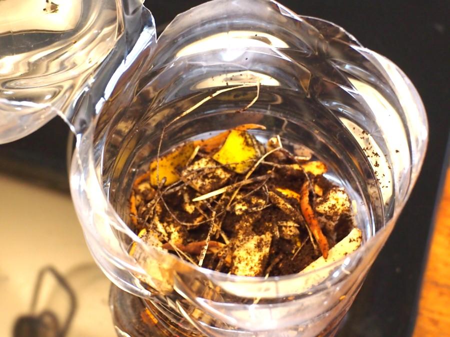 Llenando el bidón de plástico con desechos de cocina