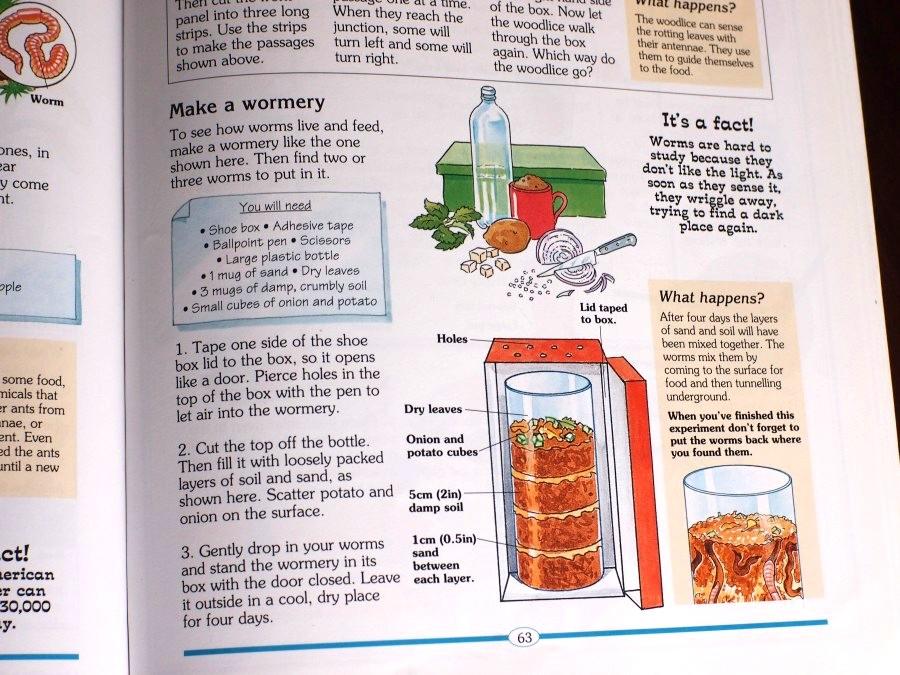 Página donde se ve el experimento 