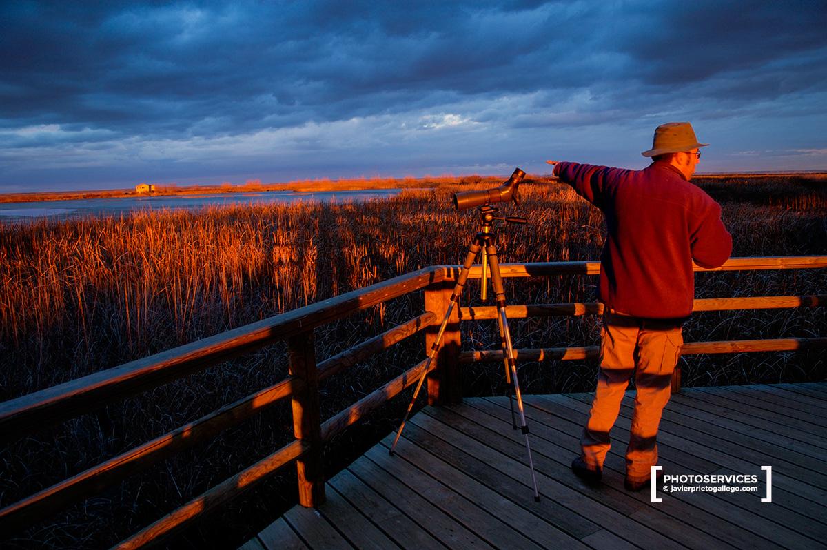 Laguna de La Nava al atardecer. Tierra de Campos. Palencia. Castilla y León. España.© Javier Prieto Gallego 