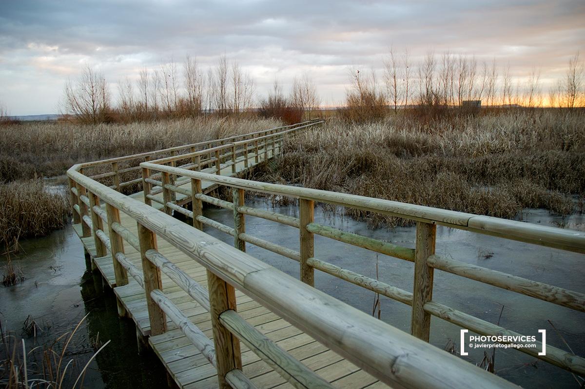  Laguna de La Nava al atardecer. Tierra de Campos. Palencia. Castilla y León. España.© Javier Prieto Gallego 