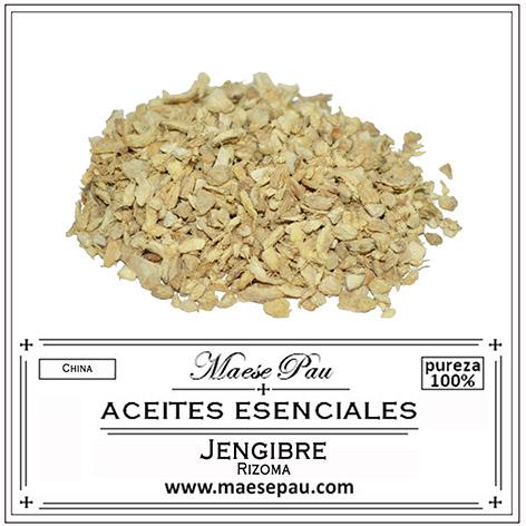 aceite esencial de jengibre