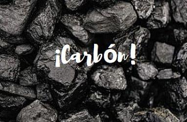 Carbón para eliminar el olor 