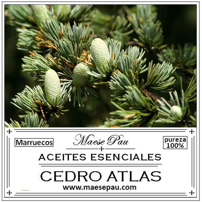 Aceite Esencial de Cedro de Atlas