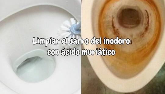 Cómo limpiar el sarro del inodoro con ácido muriático