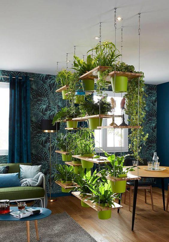 decorar con plantas colgantes VIII